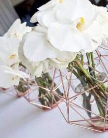 0172578101-najiha-online-Packages